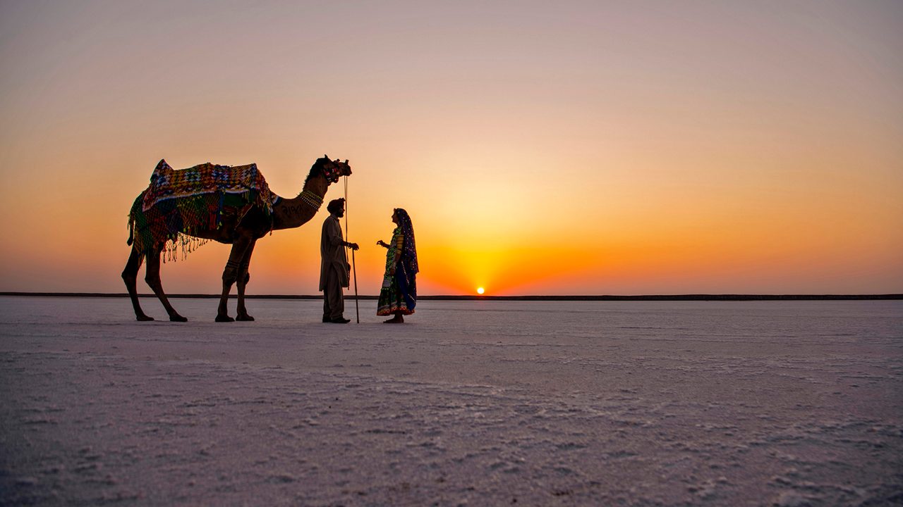 Camel and visitors on the white salt desert of the Rann of Kutch at sunset